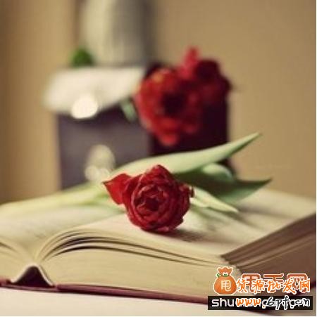 杜絕虛假宣傳中小賣家如何約束自己的行為？2
