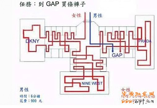 男女網購習慣和購物流程解析