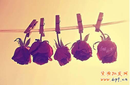 點(diǎn)擊瀏覽下一頁