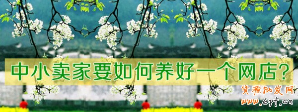 中小賣家如何做好一個網店？