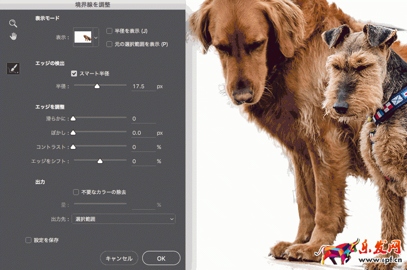 怎么用ps摳圖