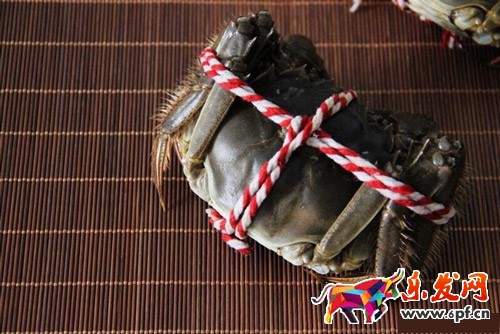 淘寶圖片用手機怎么拍