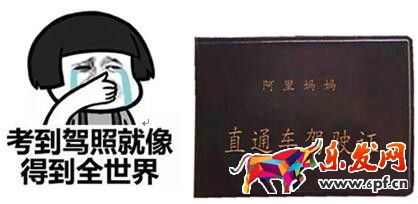 【七夜】直通車開車駕照你拿到了嗎？