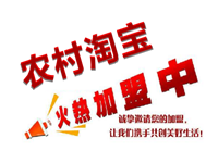農村淘寶加盟要多少錢?要怎樣加入？